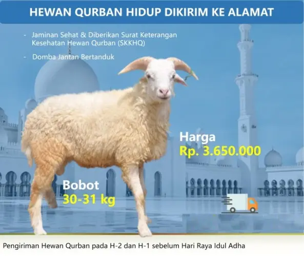 Kurban - Qurban Domba  purwakarta cilegon